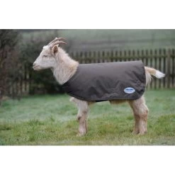 Weatherbeeta Goat Coat - Grey