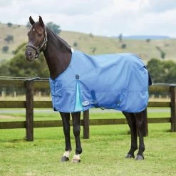 Weatherbeeta Comfitec Classic Standard Neck Medium - Delft Blue/Mint