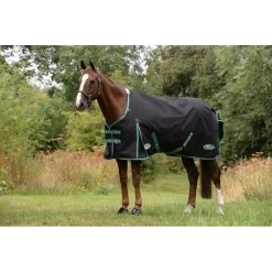 Weatherbeeta Green-Tec 900D Standard Neck Lite Plus - Black/Bottle Green