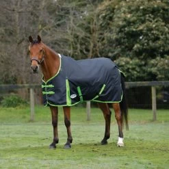 Weatherbeeta Comfitec Classic Standard Neck Lite - Black/Lime Green