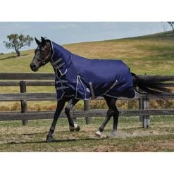 Weatherbeeta Comfitec Essential Combo