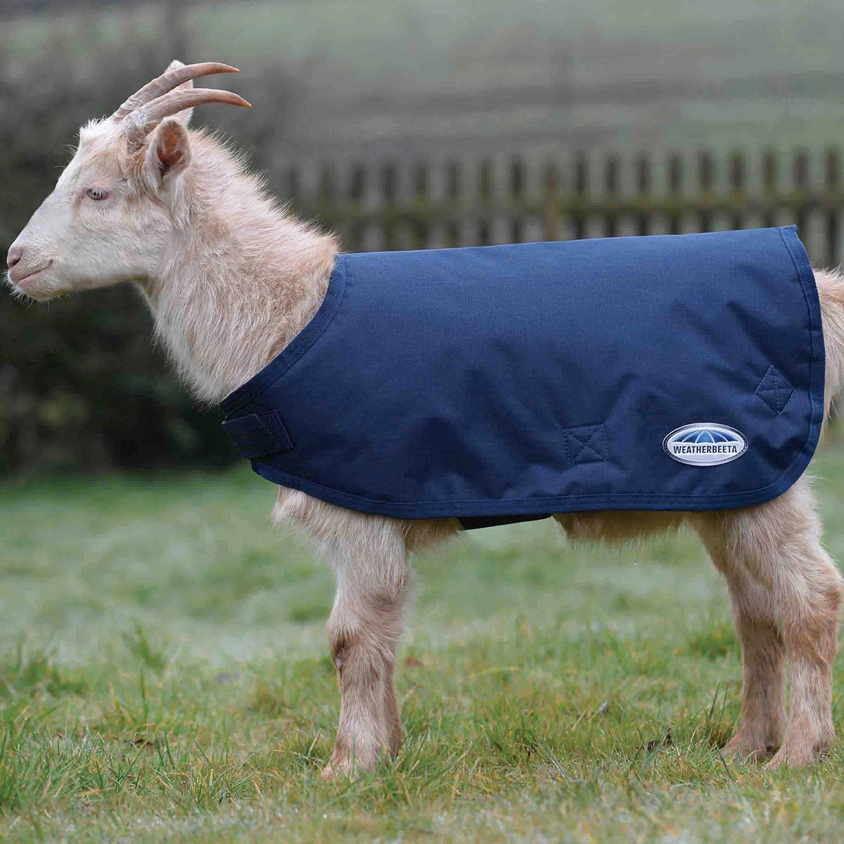 Goat Rug WeatherBeeta 100gr Dark Blue