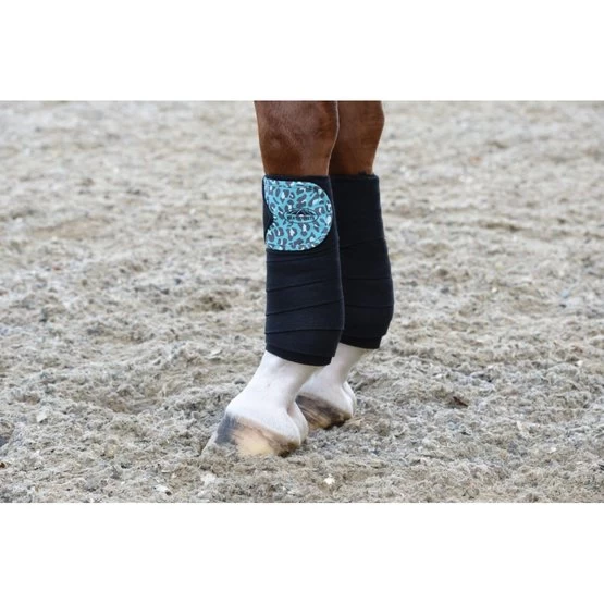 Weatherbeeta Bandages Leopard Turquoise Leopard One Size