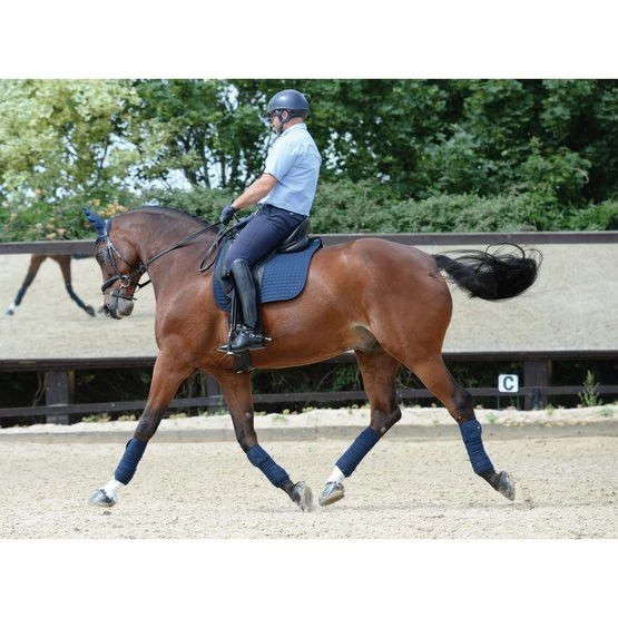 Weatherbeeta Fleece Bandages Prime 4 Pieces Black 3,5m - Image 12